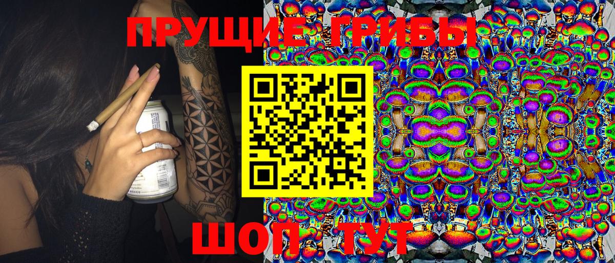 Псилоцибиновые грибы мицелий Урюпинск